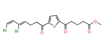 Xestospongiene Z11